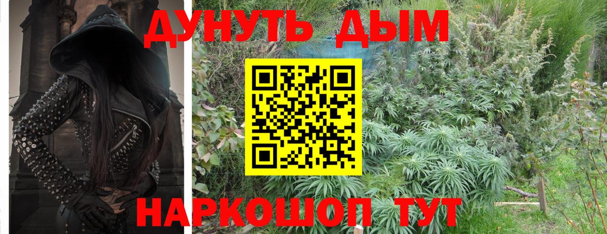 Канабис марихуана  Вход с VPN  Каннабис планчик  Черняховск  Канабис гибрид  Конопля LSD WEED 
